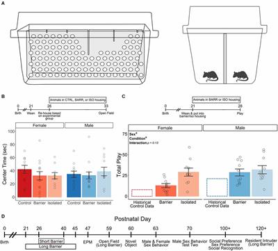 Social play experience in juvenile rats is indispensable for appropriate socio-sexual behavior in adulthood in males but not females